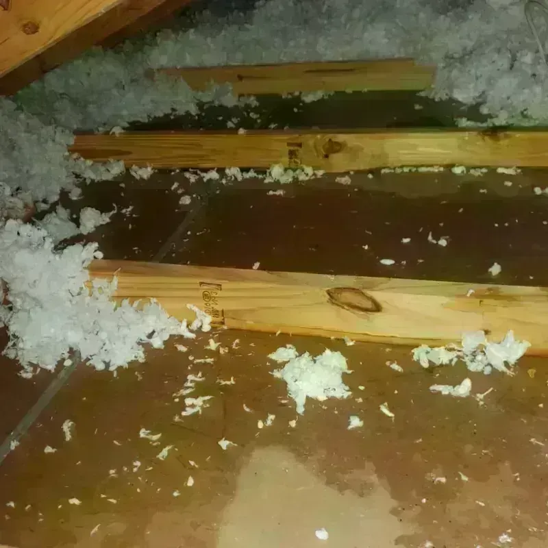 Attic Water Damage in Stanford, CA