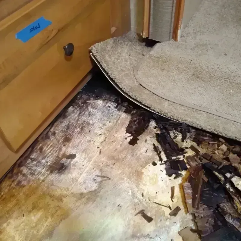 Wood Floor Water Damage in Stanford, CA